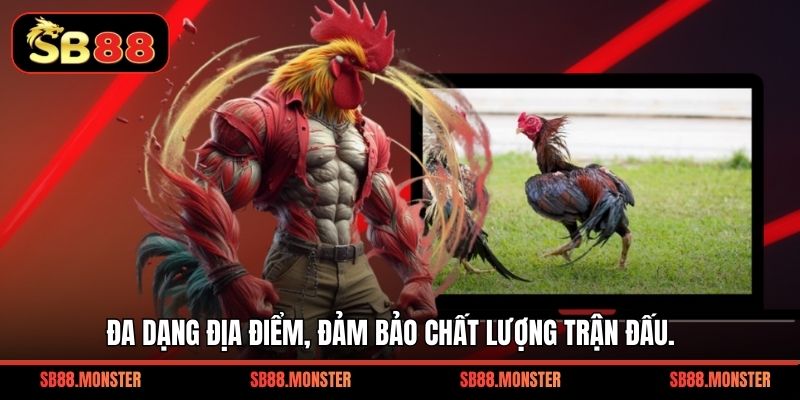 Đa dạng địa điểm, đảm bảo chất lượng trận đấu.